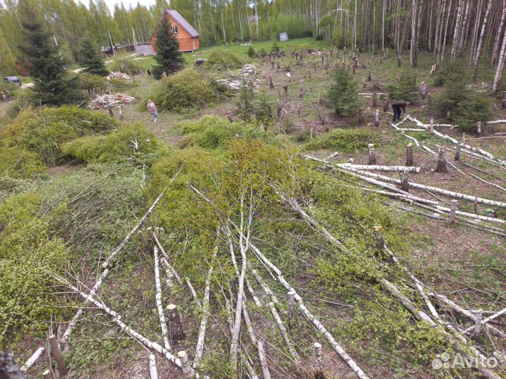 Спил деревьев расчистка участков