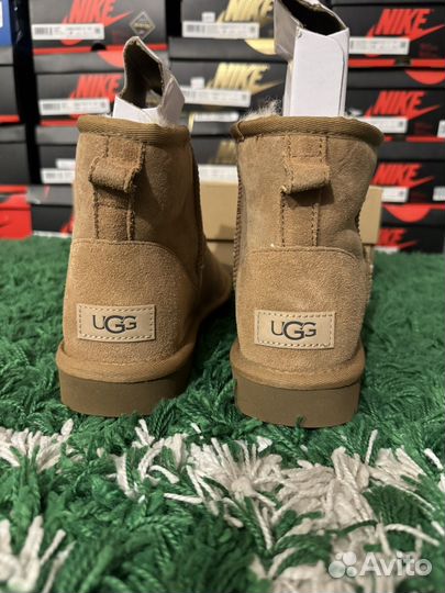 7 размеров UGG Classic Mini II Boot wmns Chestnut