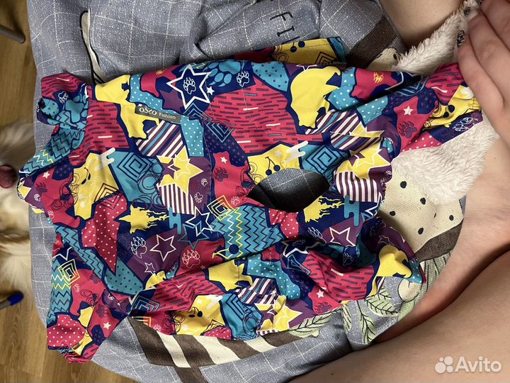 Одежда для собак