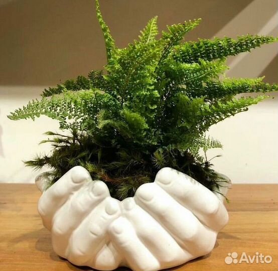 Ваза / кашпо / декор для дома/ подарочный набор