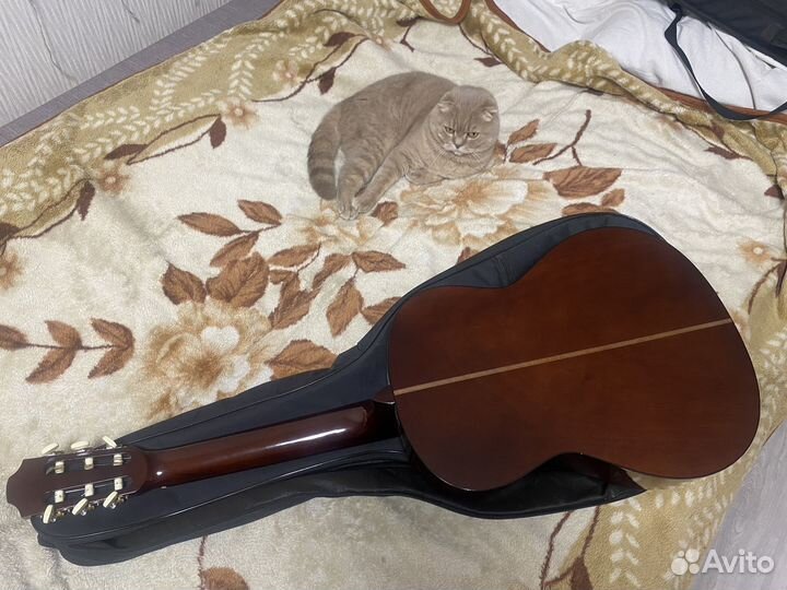 Гитара Hohner hc 06