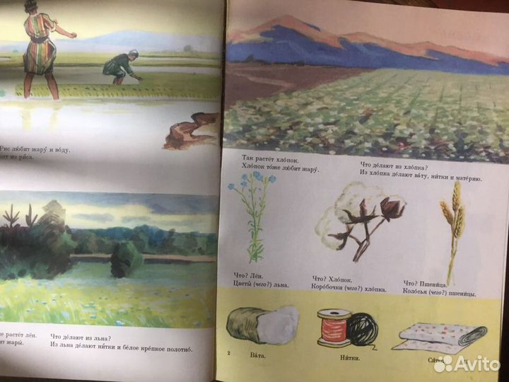 Русский язык в картинках Часть 2