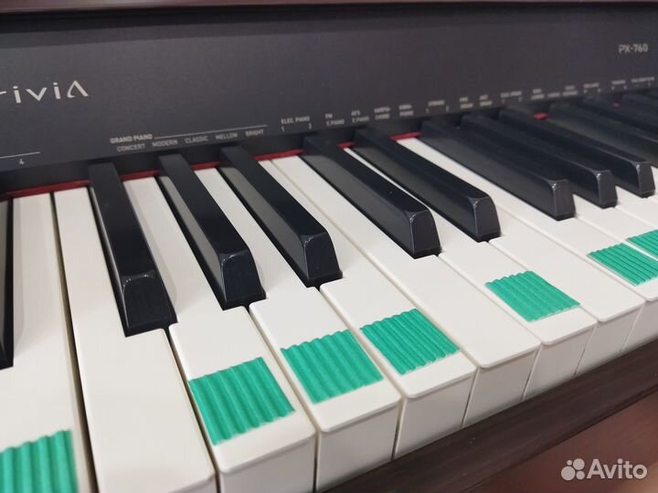 Репетитор по сольфеджио, теория музыки