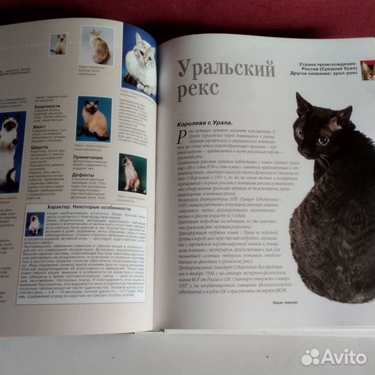 Кошки. Royal Canin. Энциклопедия