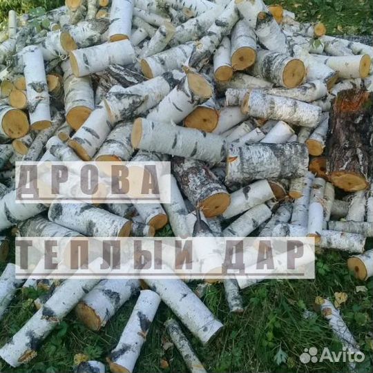 Дрова сухие