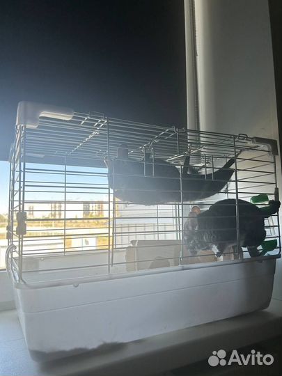 Клетка для животных большая бу