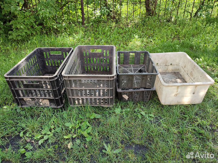 Пищевые ящики, тары, контейнеры 5 шт