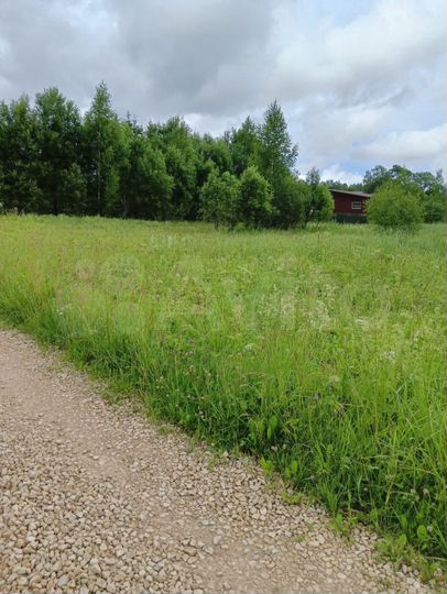 Участок 20 сот. (СНТ, ДНП)