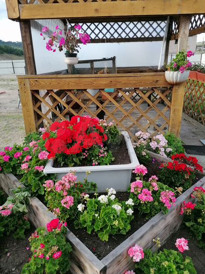 Дом 300 м² на участке 70 сот.