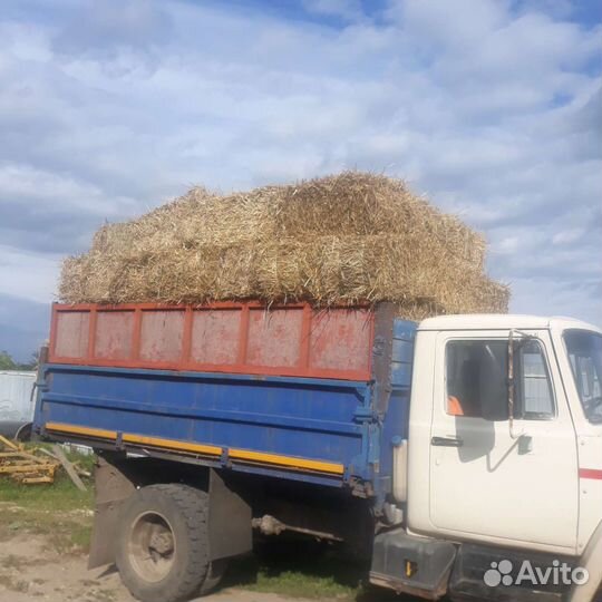 Солома в тюках