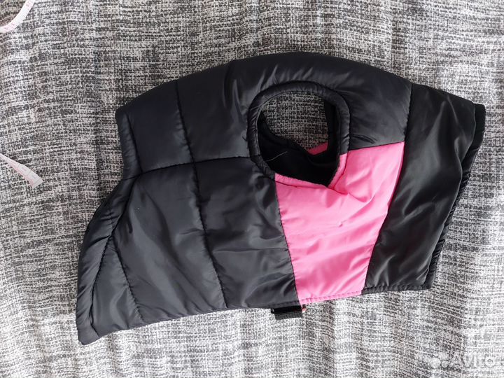 Одежда для собак