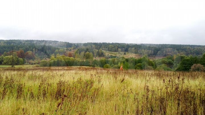 Участок 30 сот. (ИЖС)