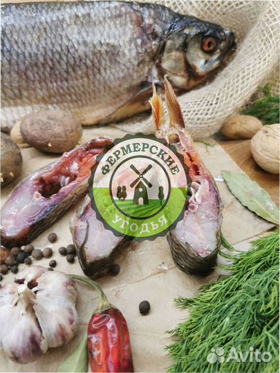 Рыба северная Язь Щука Щекур Мохтик Лещ Сырок