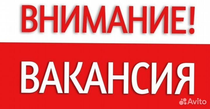 Оператор на линию вахта