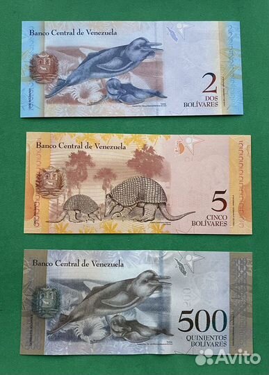 Иностранные банкноты