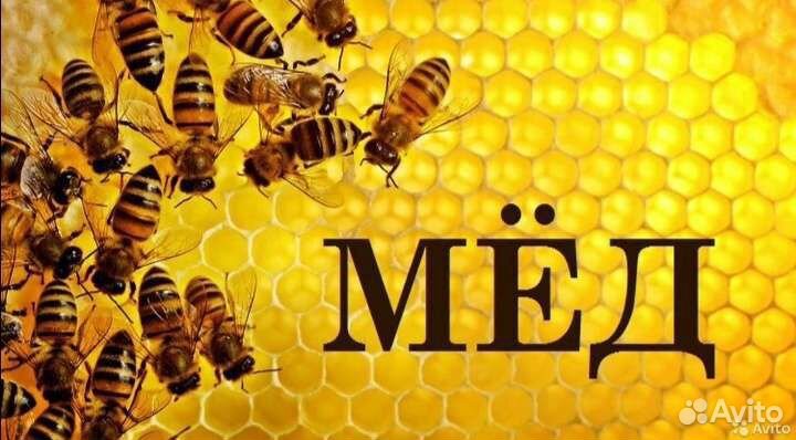 Продам мед