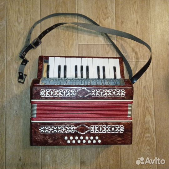 Детский аккордеон 
