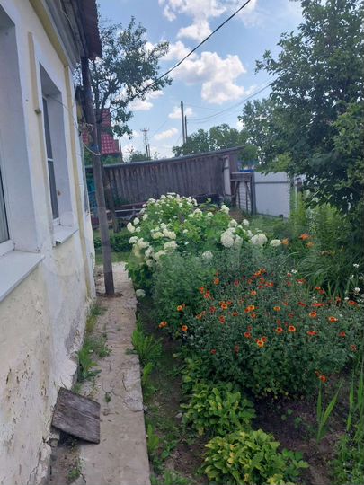 Дом 49,5 м² на участке 8 сот.