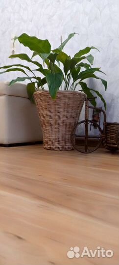 Кашпо для цветов напольное