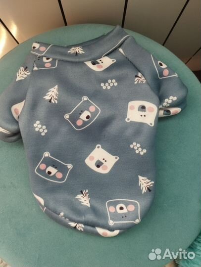 Одежда для маленьких собак