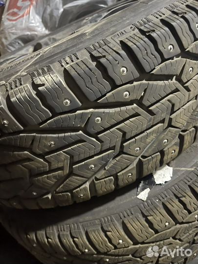 Tigar Ice 205/55 R16