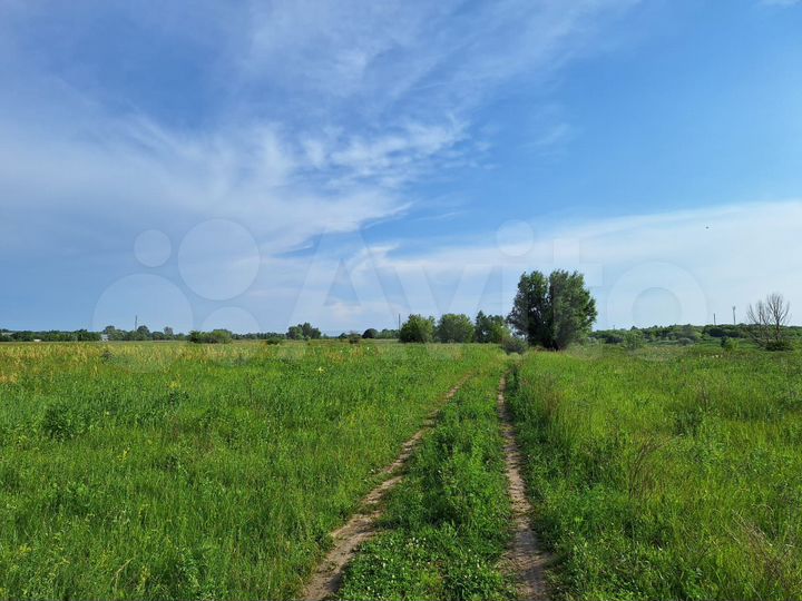 Участок 14,17 га (СНТ, ДНП)