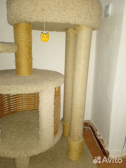 Когтеточка с домиком бу