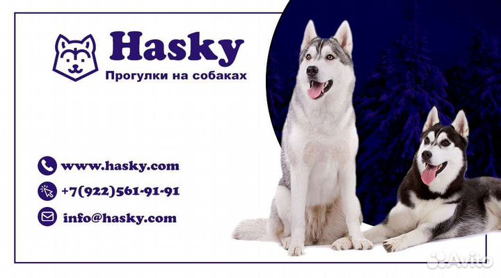 Обработка фото/видео, создание логотипов, монтаж