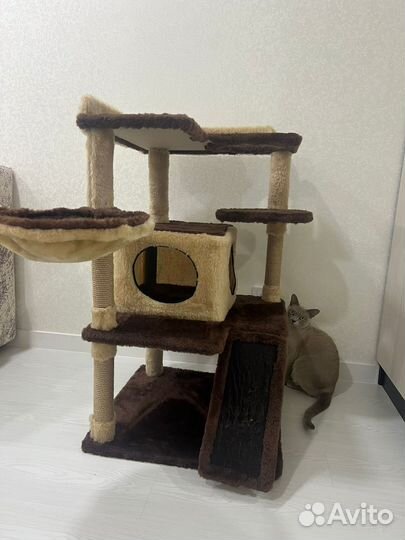 Когтеточка домик для кошки
