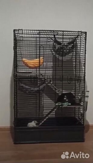 Клетка для грызунов большая