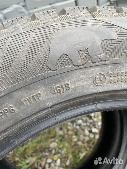 Gislaved Nord Frost 200 SUV 255/55 R19
