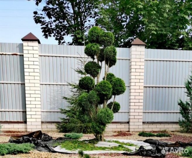 Озеленение и благоустройство участка