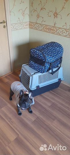 Переноска для собак