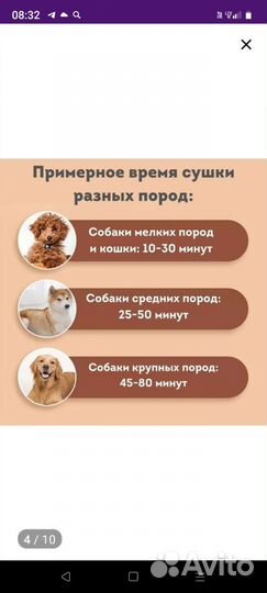 Фен для животных