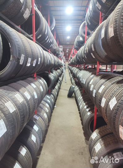 Gislaved Nord Frost 5 195/65 R15 91T