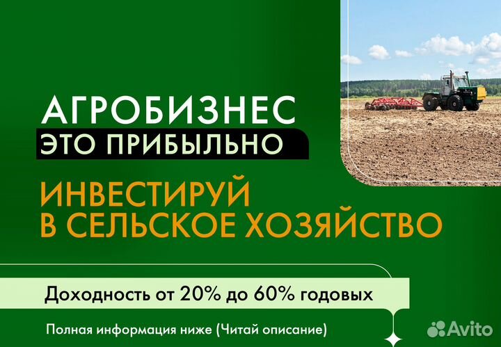 Ищу партнеров в сельское хозяйство