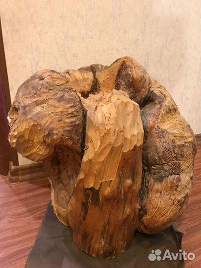 Кап березовый