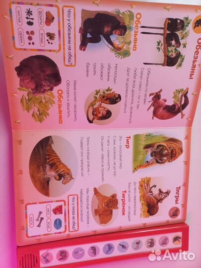 Книга для малышей