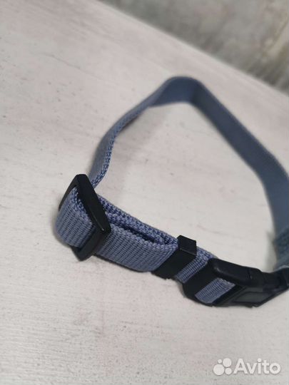 Ошейник для собак