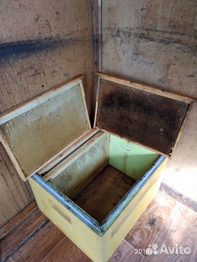 Сушь для пчёл