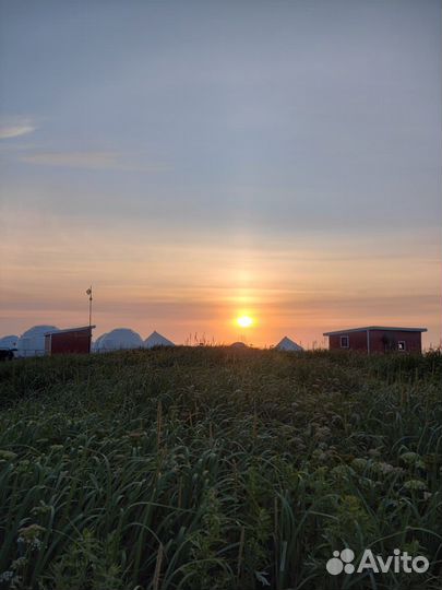 Тур на Камчатку