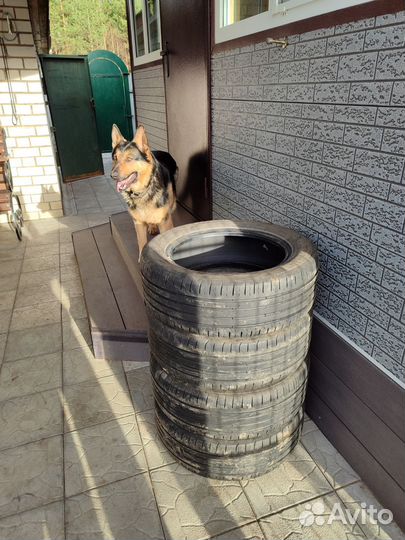 Continental ContiPremiumContact 205/55 R16