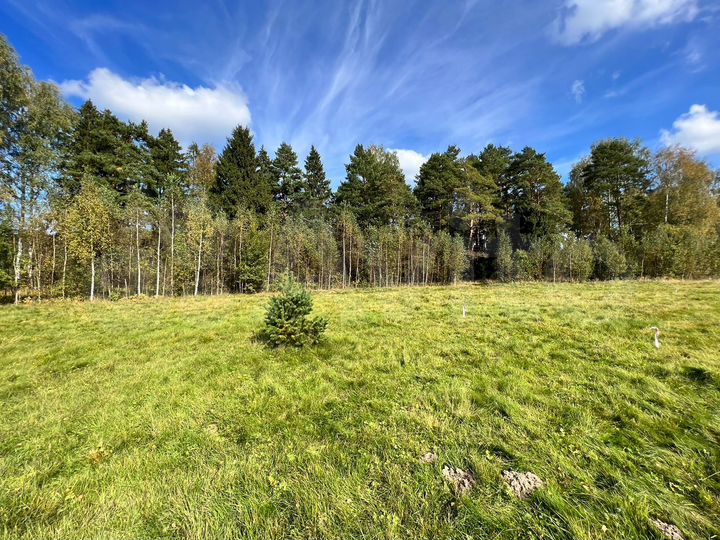 Участок 8 сот. (ИЖС)