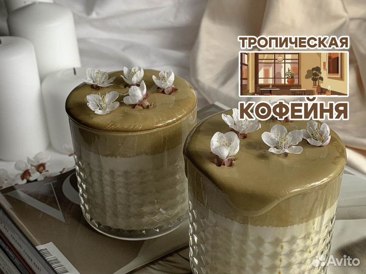 Прибыль в каждом глотке: Тропическая Кофейня