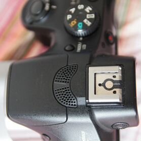 Sony A 3000