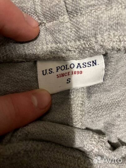 Мужские шорты us polo assn