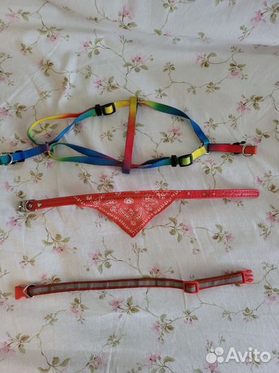 Ошейник, шлейка, поводок, огонек на ошейник