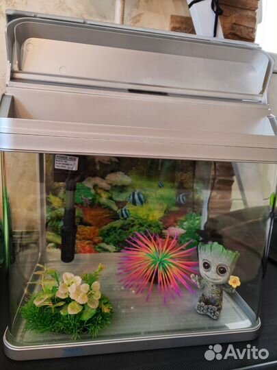 Аквариум