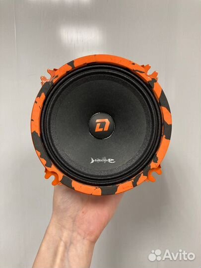 Динамики широкополосные эстрадные мидбас DL Audio