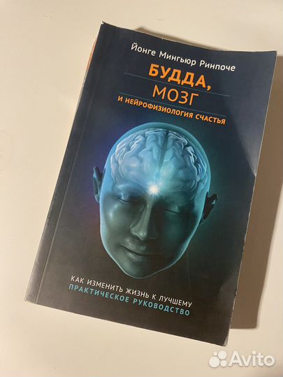 Будда, мозг и нейрофизиология счастья